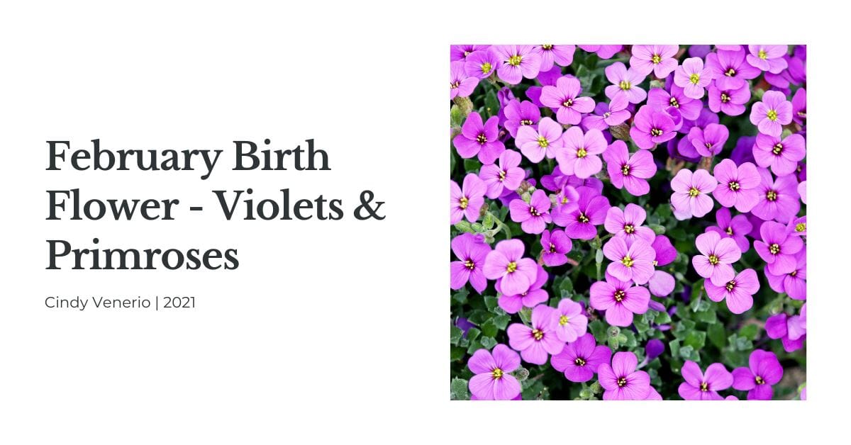 February Birth Flower Violet And Primrose Nearly Natural