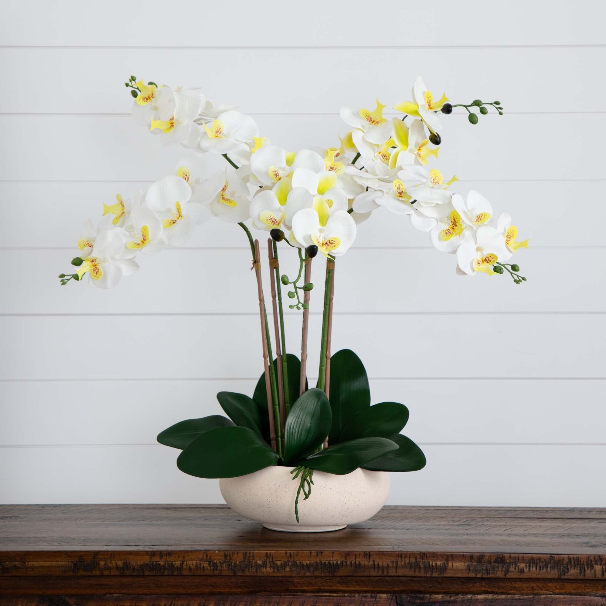 Faux green phalaenopsis orchid plant wit 7 blooms, selling potted in a Handcrafted clay pot glazed green, with chartreuse deer moss.