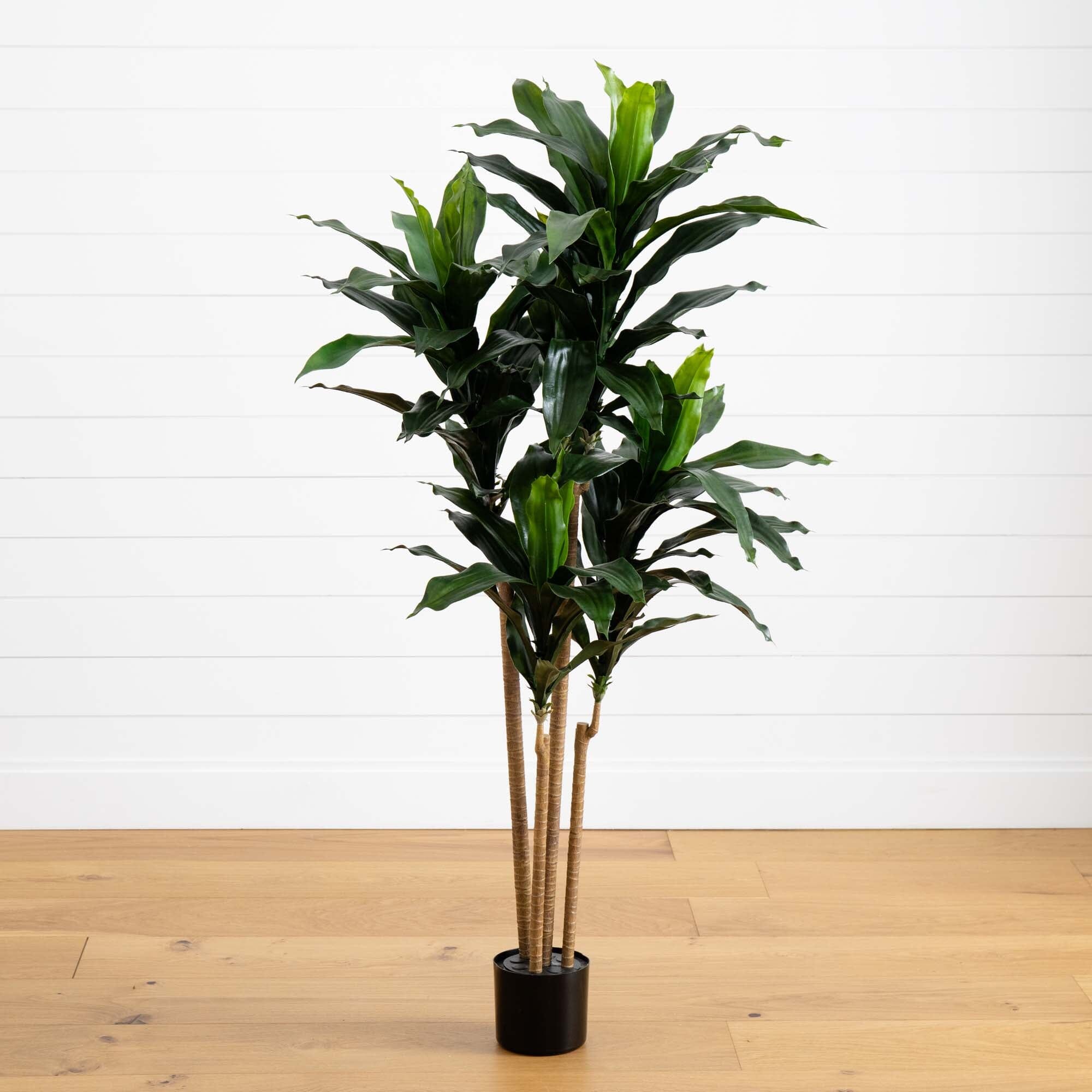 Artificial 2024 Cornstalk Dracaena- 5Ft. W/ Pot