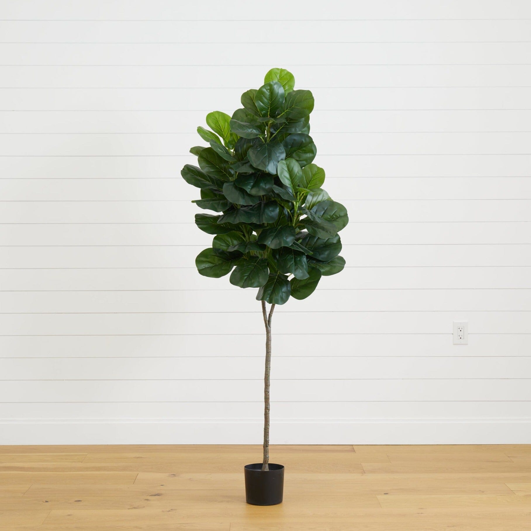 6’ Fiddle Leaf Fig Artificial Tree 