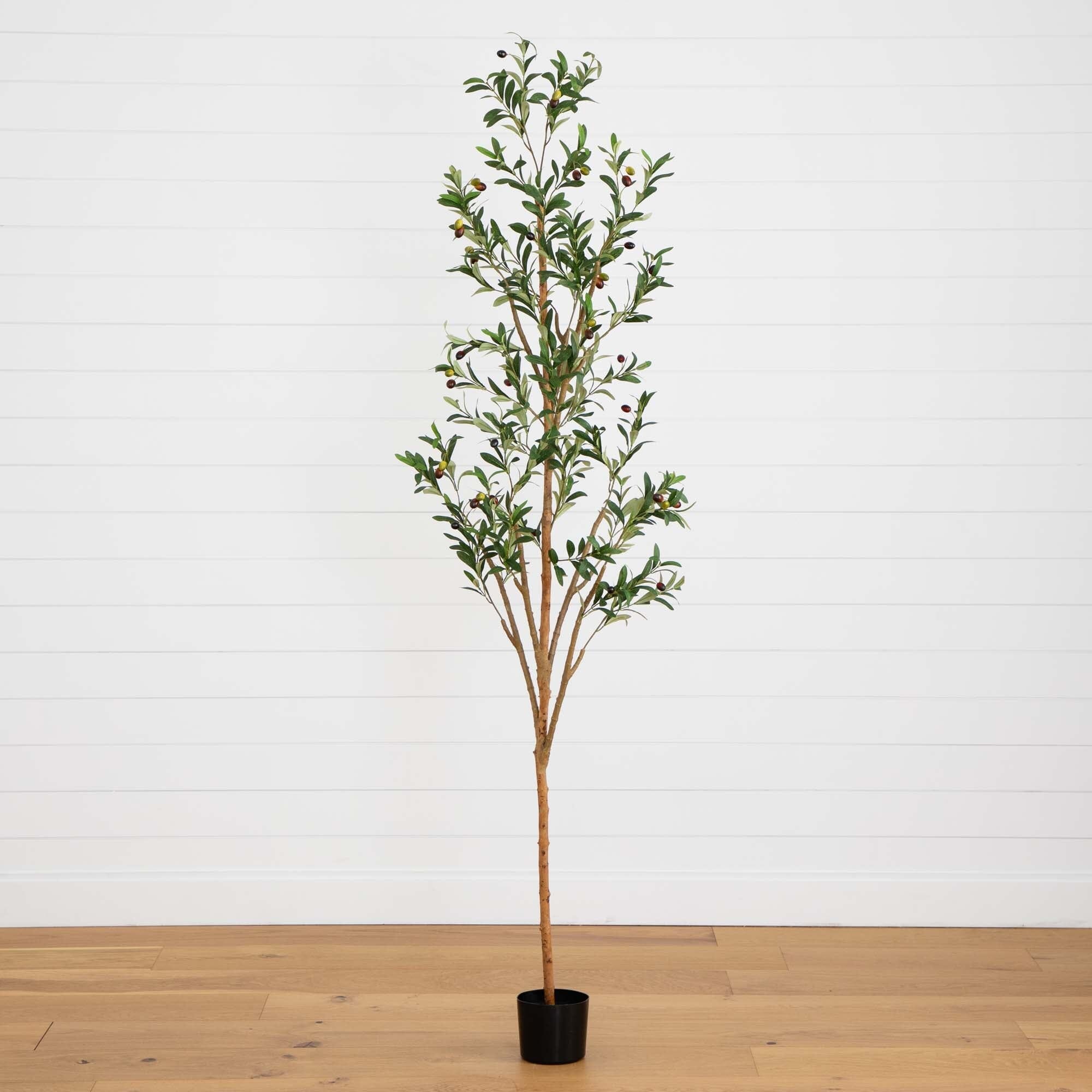 7’ Faux Olive Tree, 5’ Olive Tree, 8’ Faux hotsell Olive Tree, Artificial Plant, Faux Olive, Faux Plant, Artificial Olive Tree