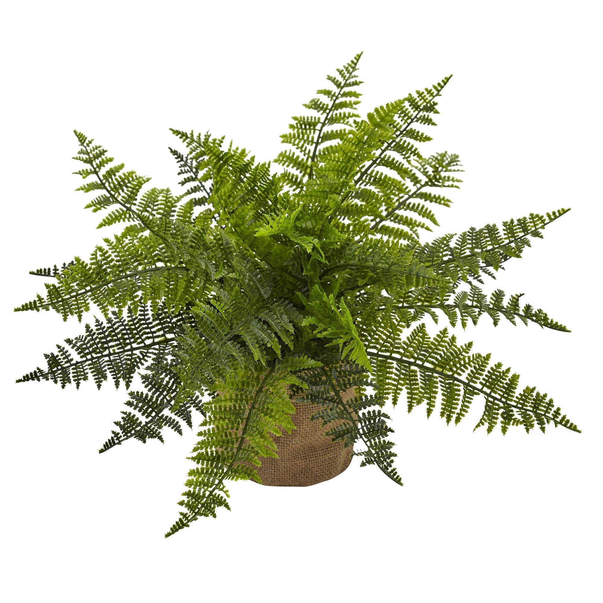 Fern Double-Sided – crae.home