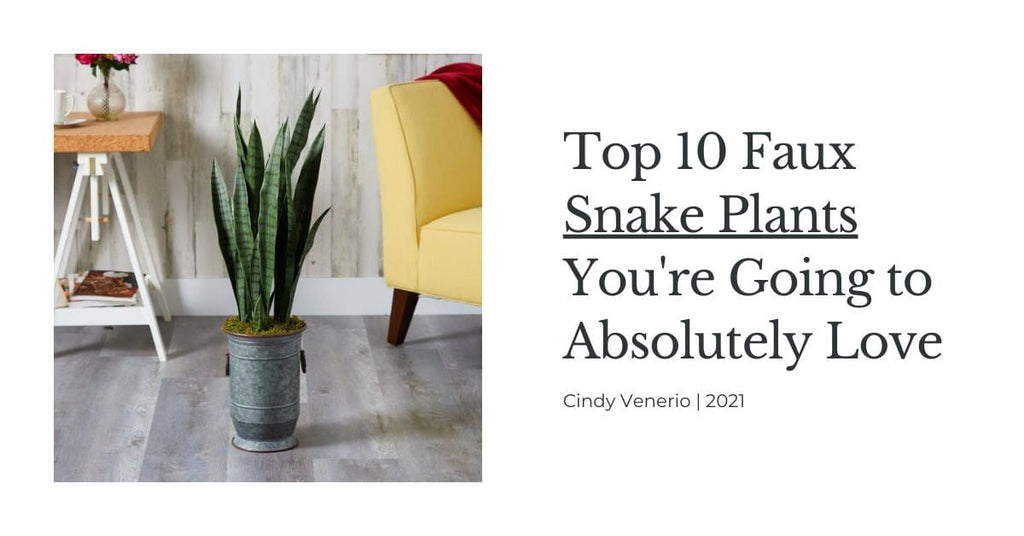 The Best Fake Snake Plant - With Comparison Photos