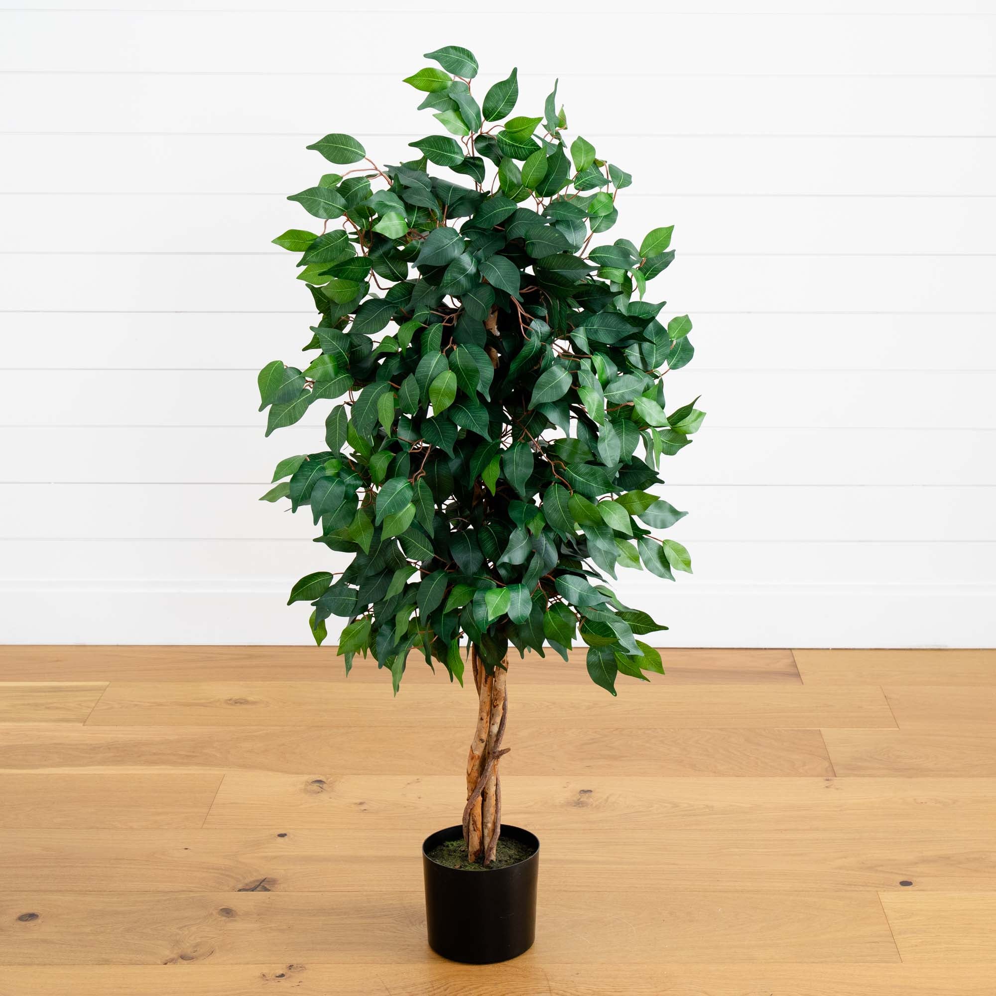 4-Feet Artificial Capensia Bush Indoor-Outdoor Leaves artificial ficus tree L4 on sale