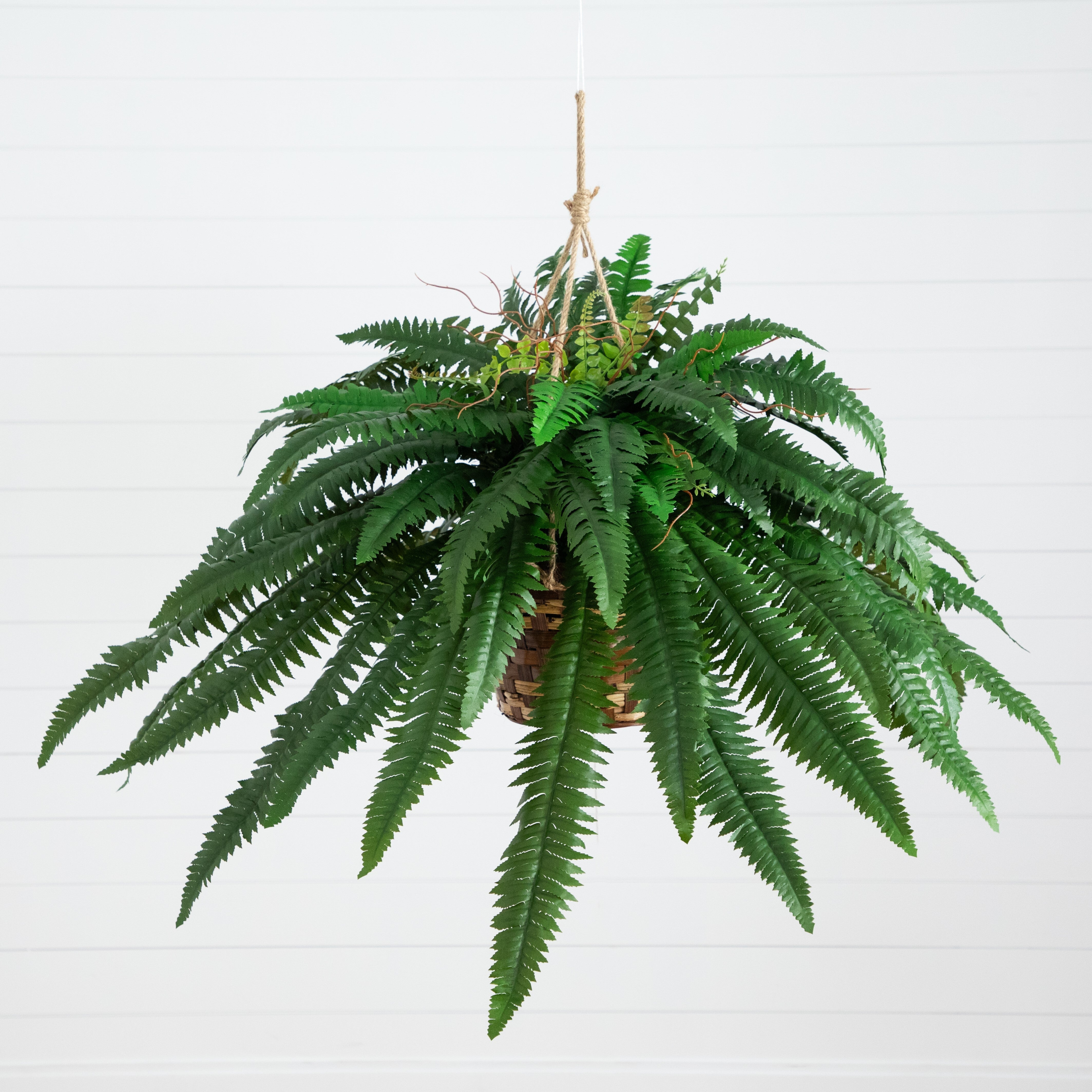 Large Boston Fern Hanging Basket | Nearly Natural