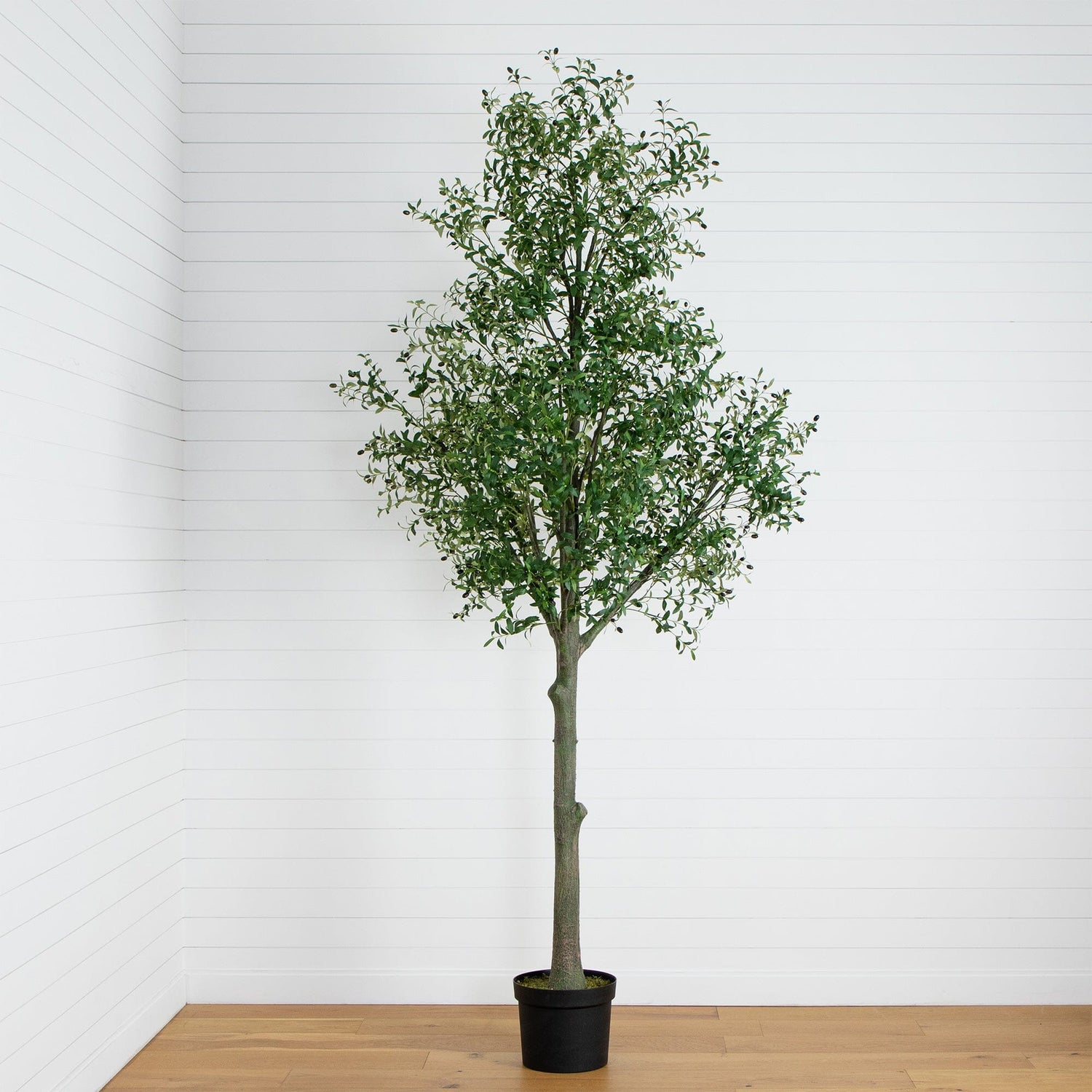 12’ Giant Artificial Olive Tree