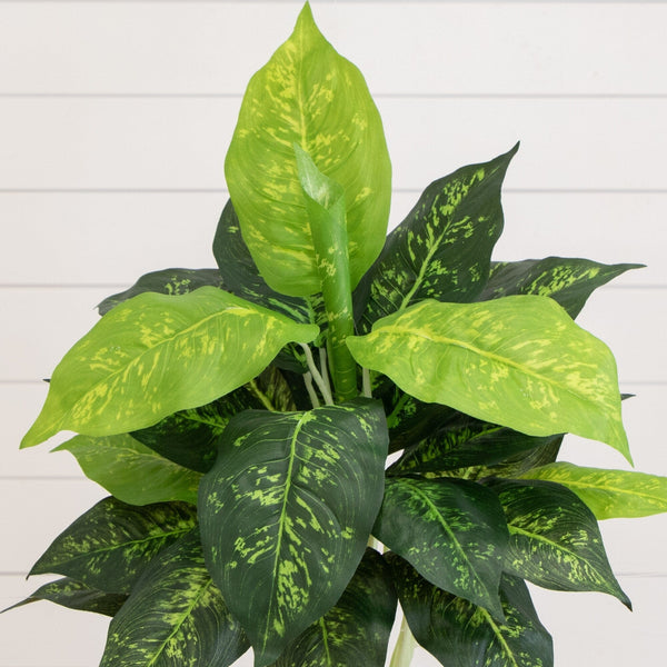 19” Artificial Dieffenbachia Plant - Set of 6