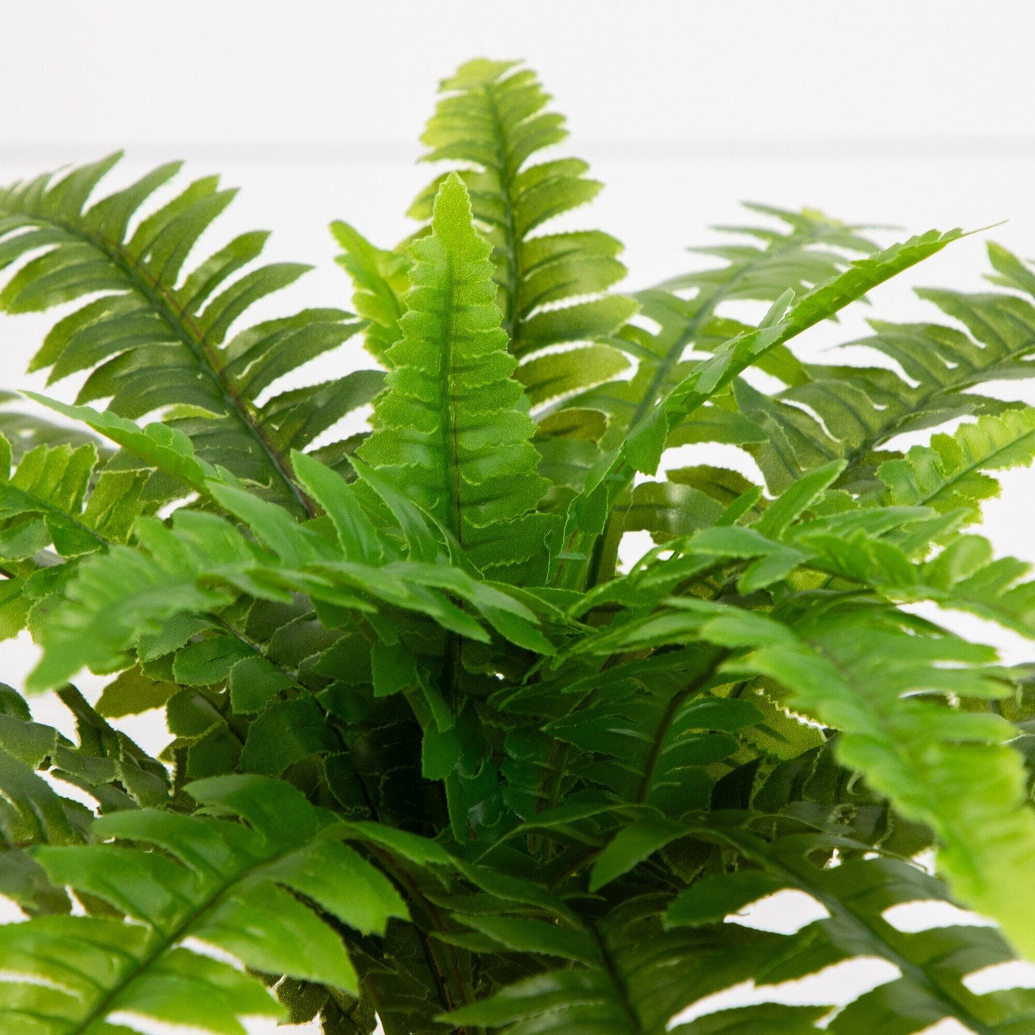 19" UV Resistant Artificial Boston Fern (Indoor/Outdoor) - Set of 2