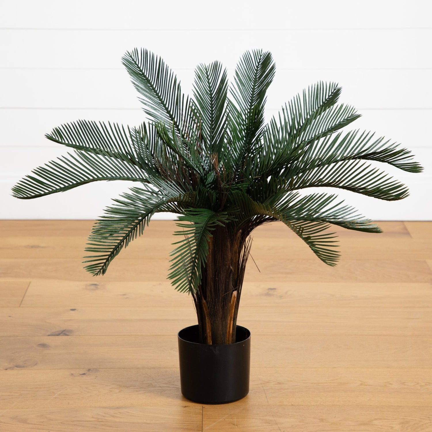 2’ Cycas Artificial Tree UV Resistant (Indoor/Outdoor)