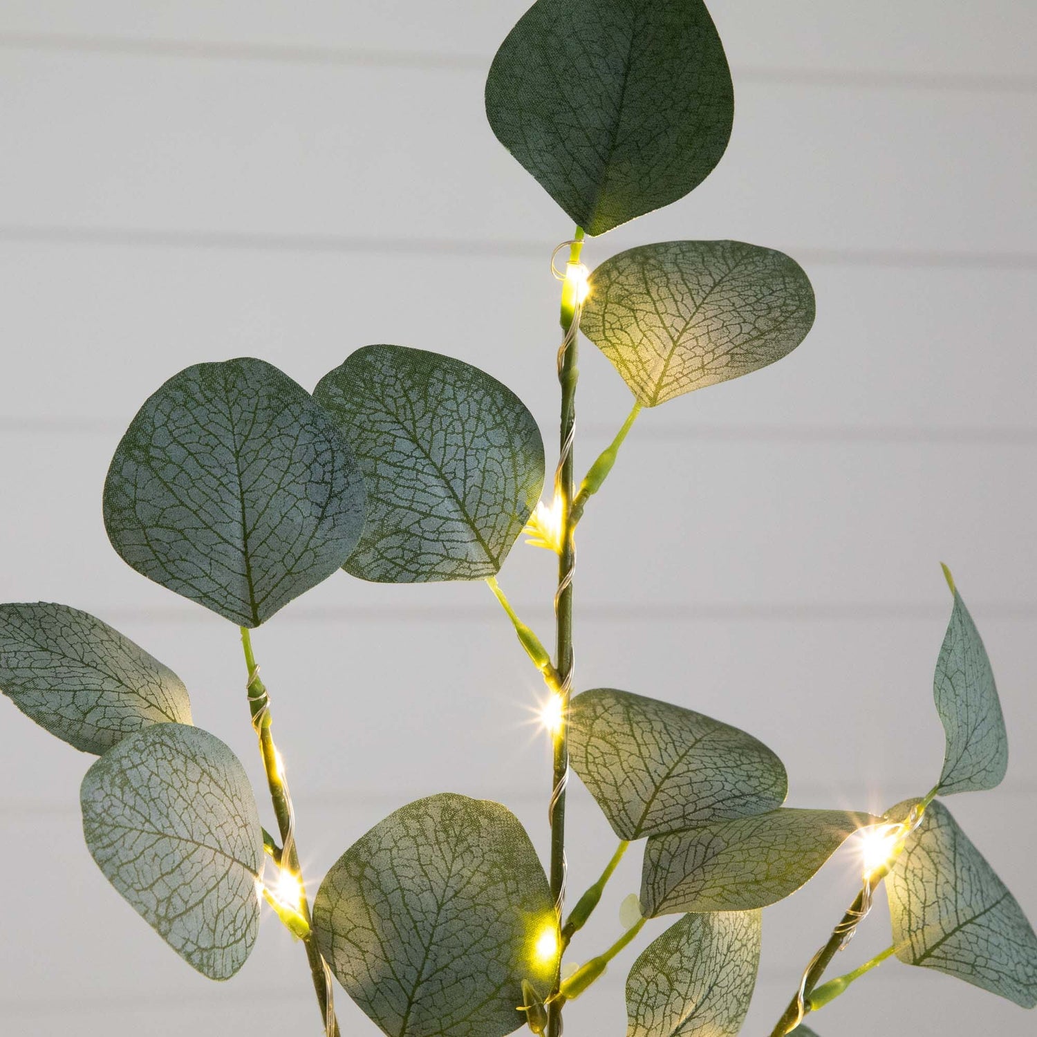 2’ Lighted Artificial Eucalyptus Tree with 60 Warm White LED Lights