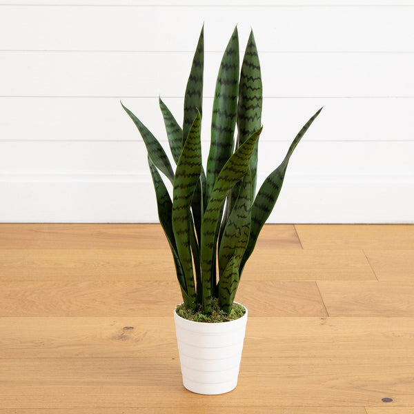 2' UV Resistant Artificial Sansevieria Plant in White Decorative Planter (Indoor/Outdoor)