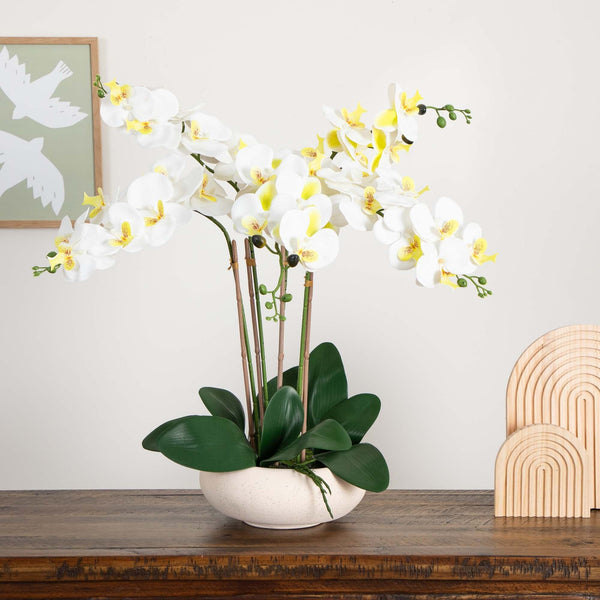 23” Artificial Phalaenopsis Orchid Arrangement in White Ceramic Planter (Real Touch)