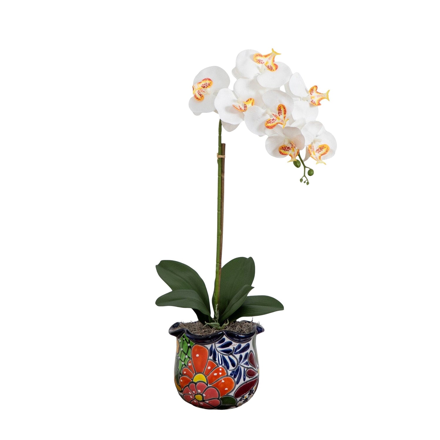 26” Artificial Orchid Arrangement in Handmade Mexican Talavera Ceramic Planter