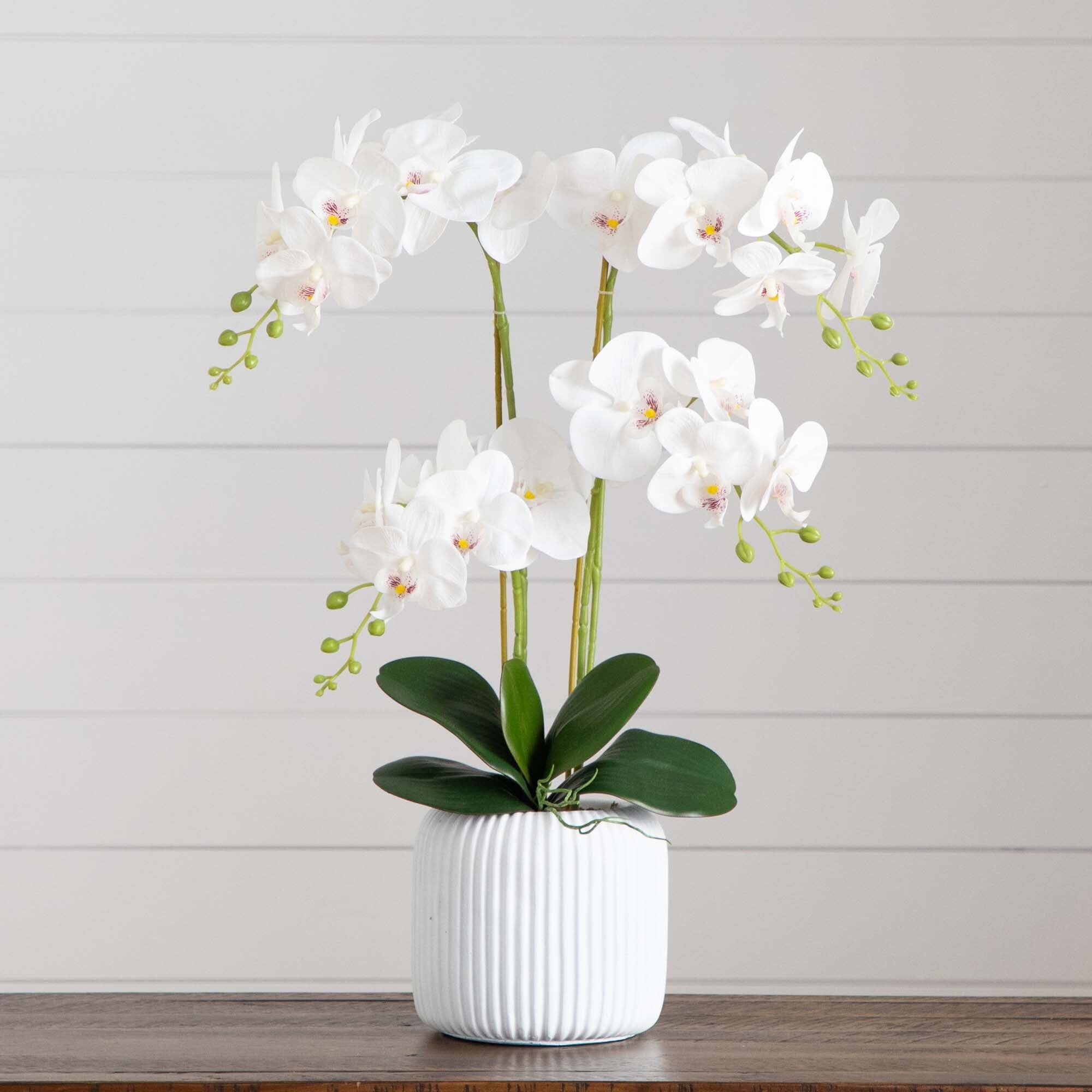 Nearly Natural Phalaenopsis popular Orchid & Succulent Artificial Arrangement-kzi