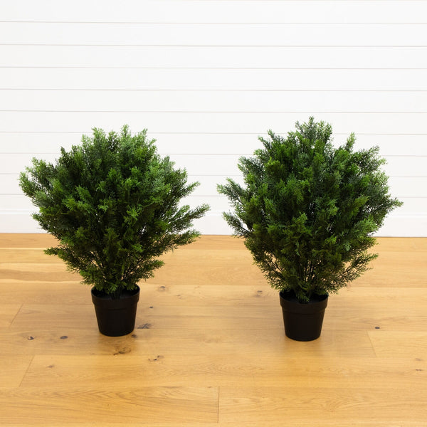 3’ Cedar Bush UV Resistant (Indoor/Outdoor) - Set of 2