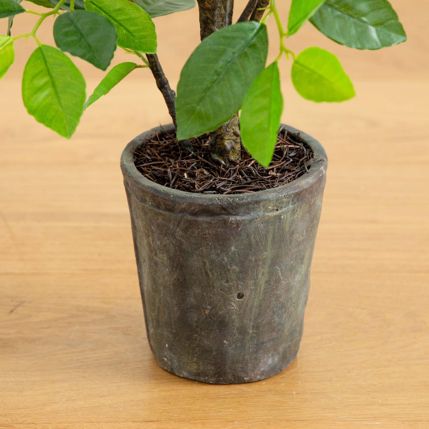 3’ Ficus Artificial Tree in Planter