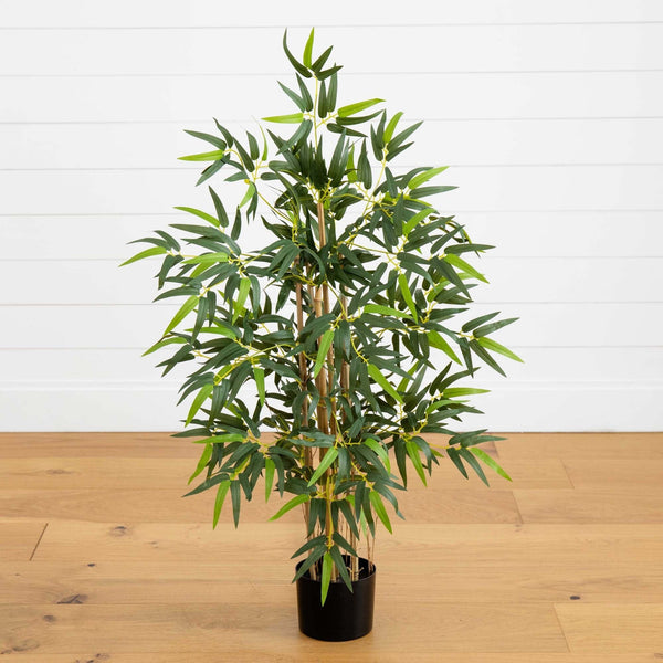 3' Multi Bambusa Bamboo Silk Tree