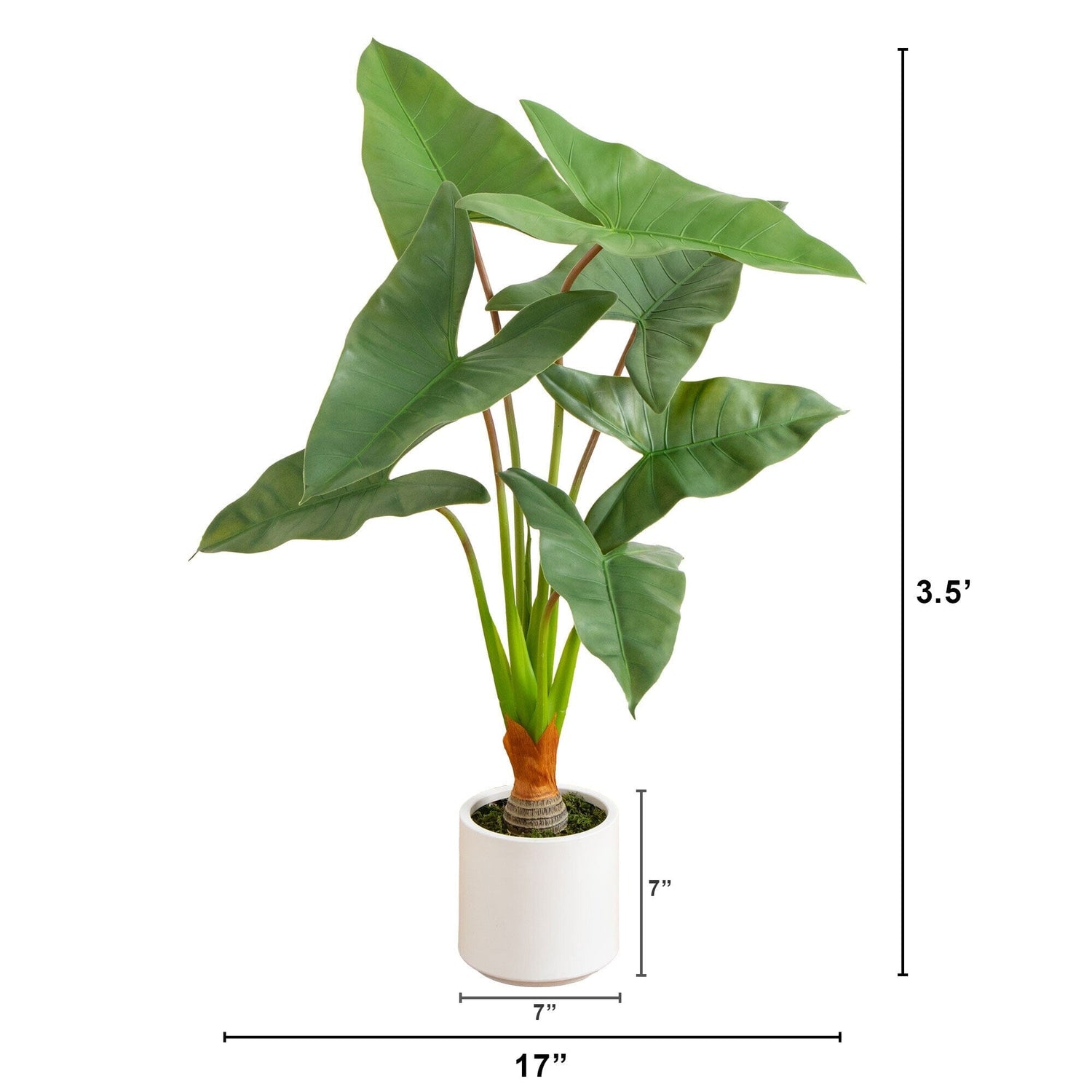 3.5’ Artificial Arrowhead Philodendron in White Decorative Planter