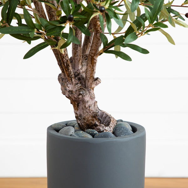 3.5’ Olive Tree in Gray Cylinder Planter