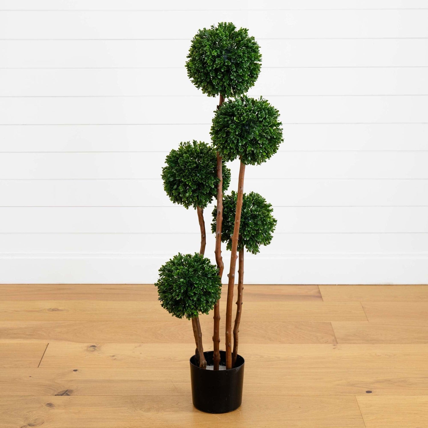 4’ Boxwood Five Ball Topiary UV Resistant (Indoor/Outdoor)