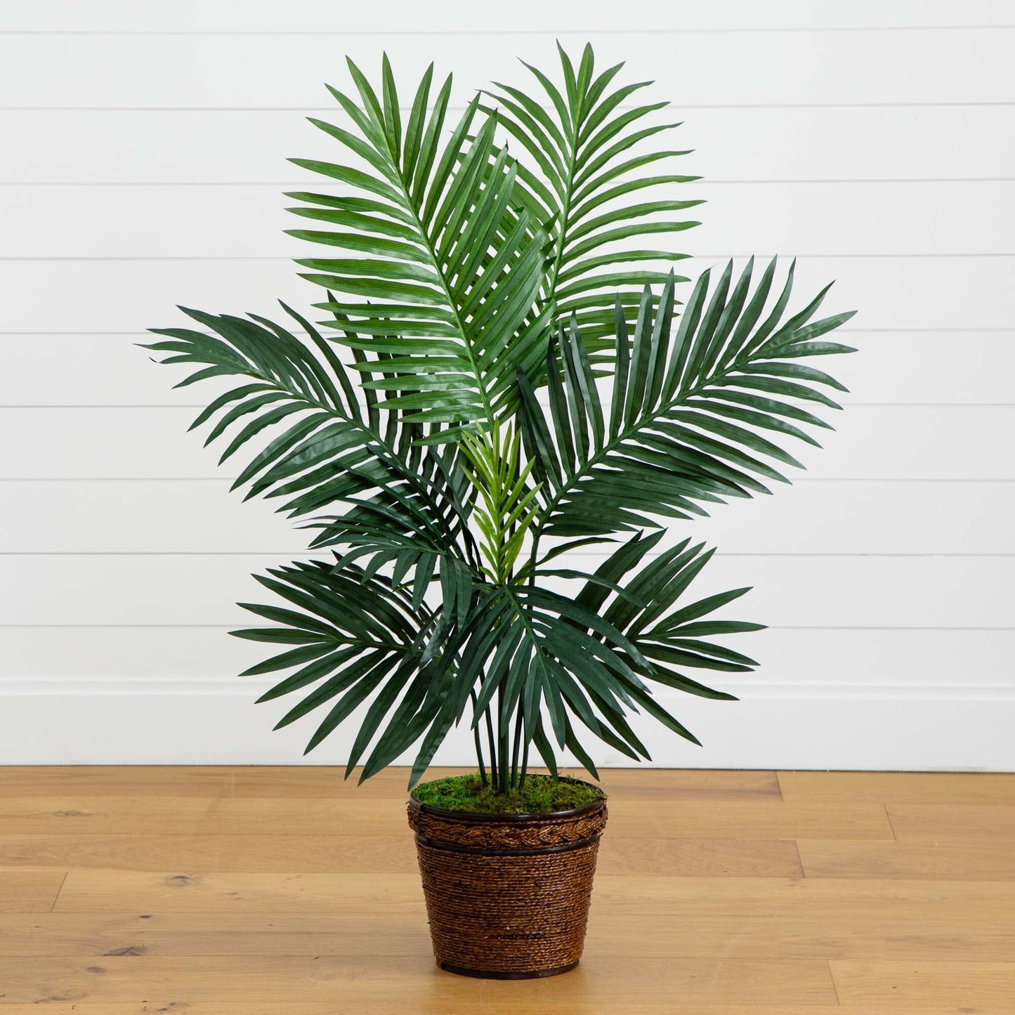 4’ Kentia Palm Tree in Coiled Rope Planter | Nearly Natural