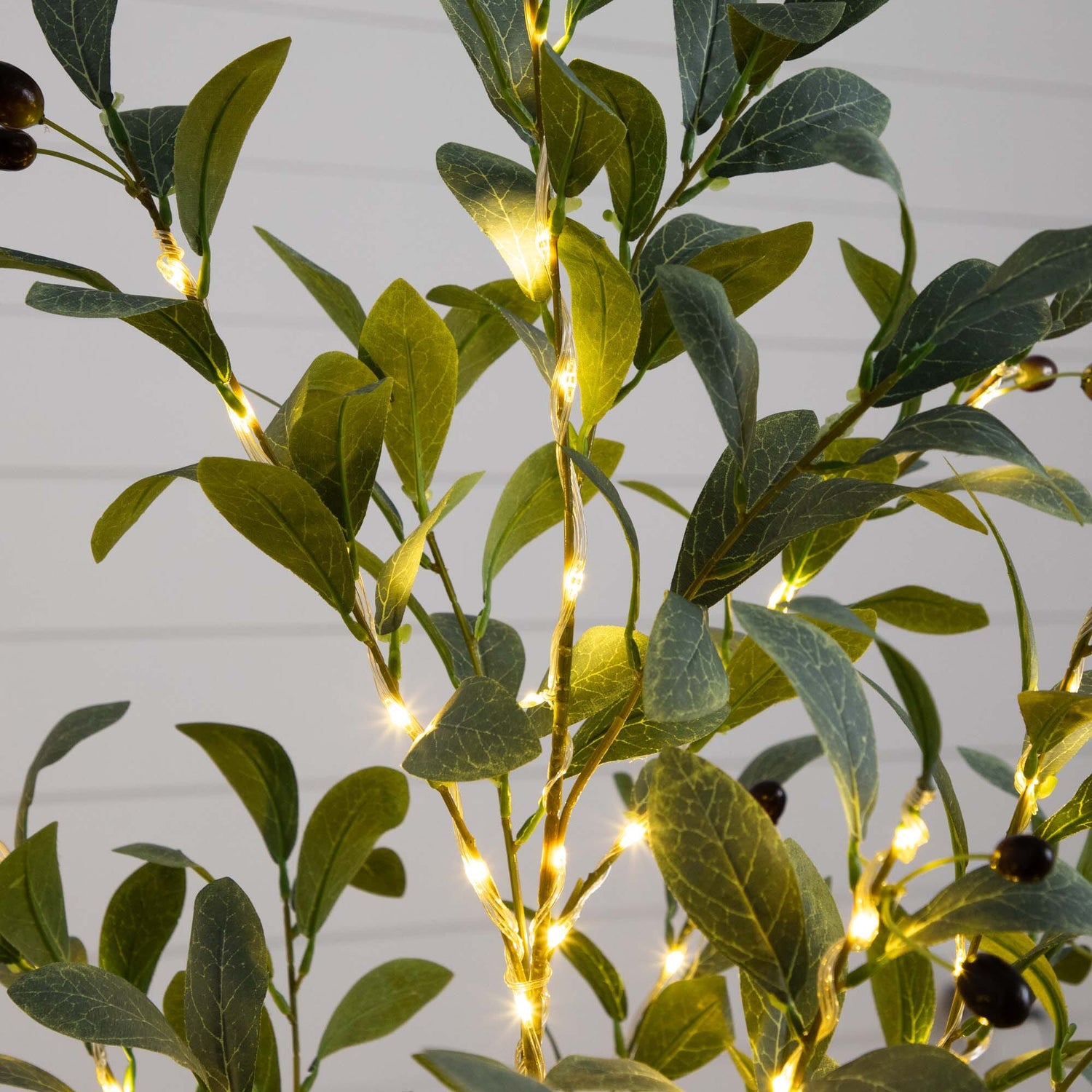 4’ Lighted Artificial Fruiting Olive Tree with 150 Warm White LED Lights