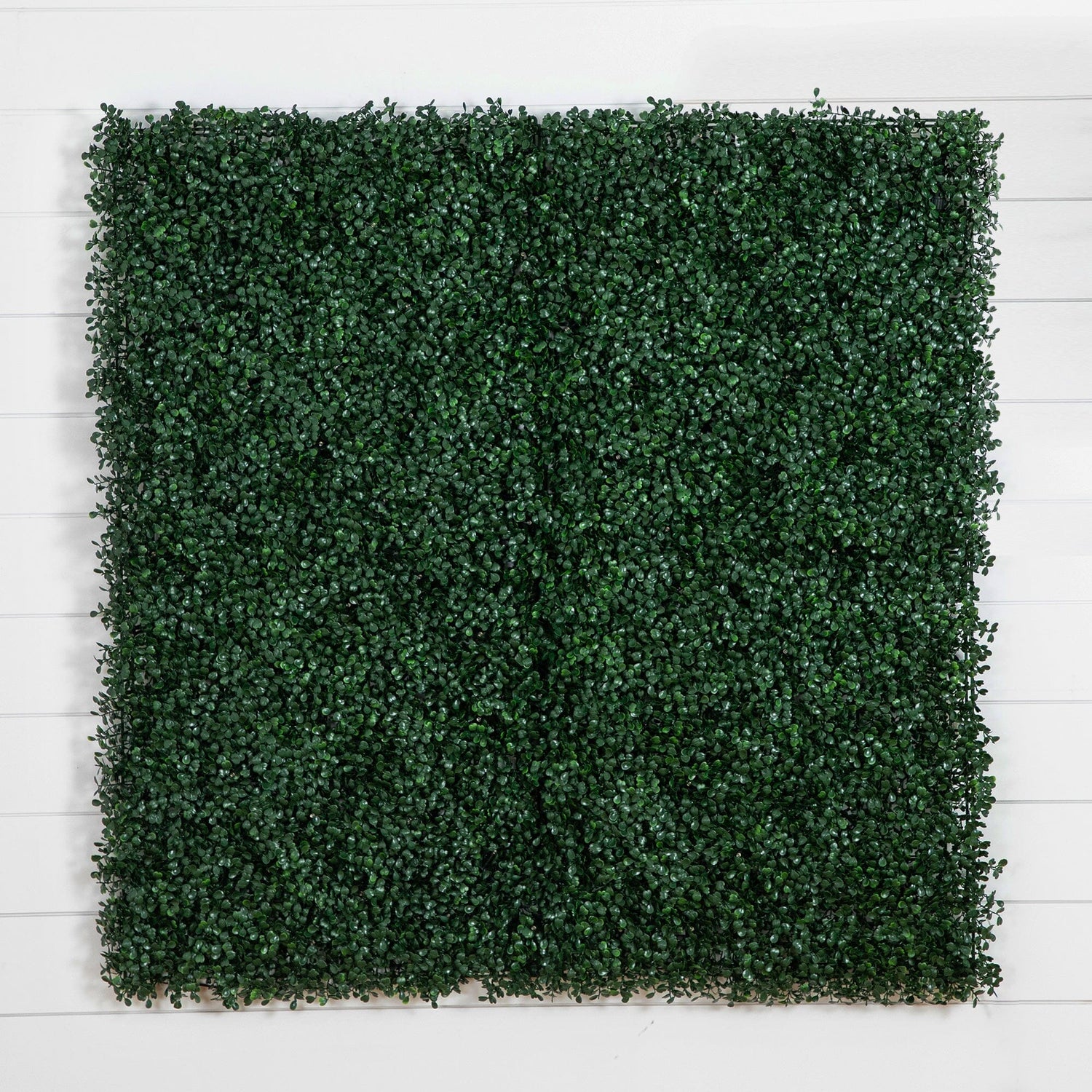 40” x 40” UV Resistant Boxwood Artificial Living Wall Panel with 100 Warm White LED Lights