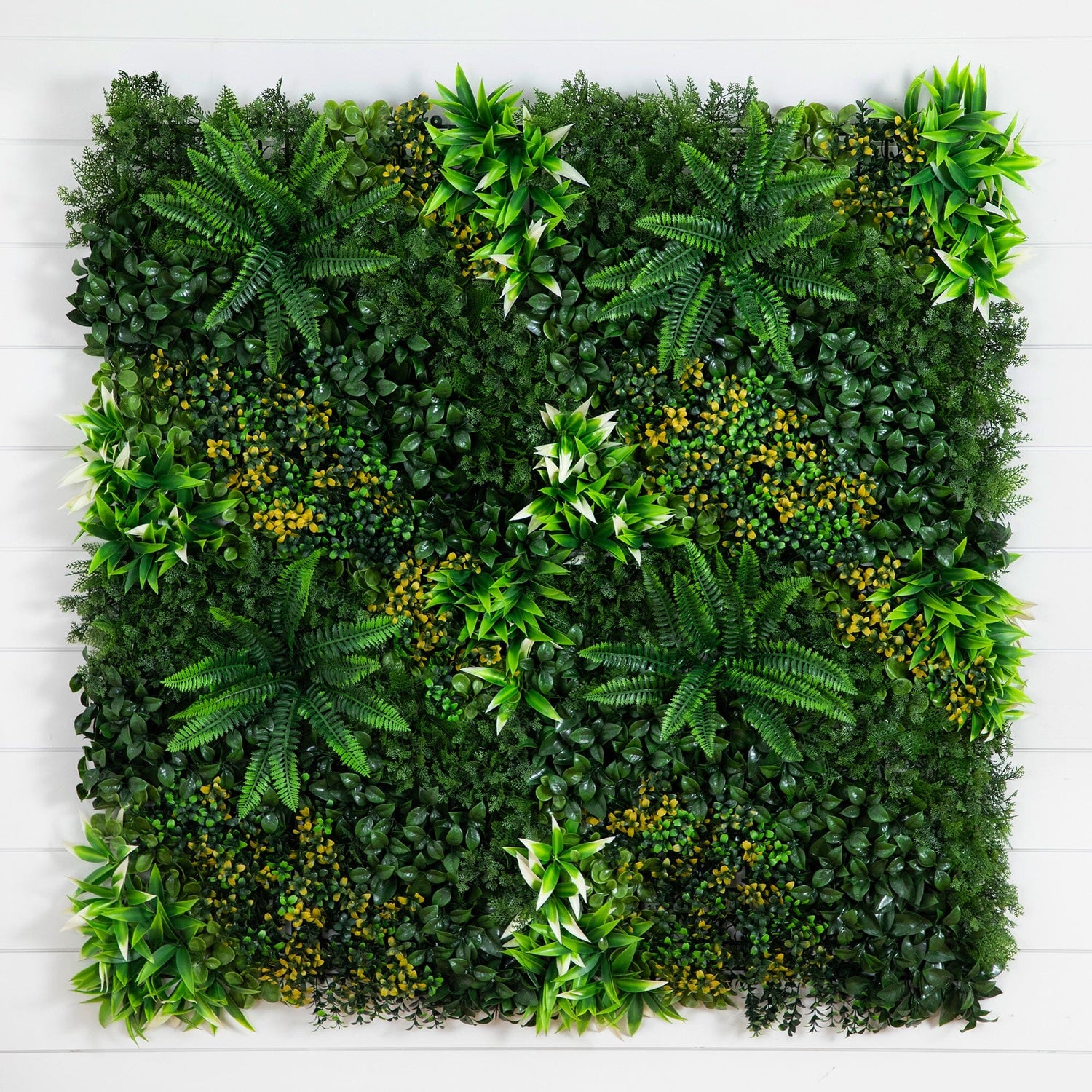 40” x 40” UV Resistant Hawaiian Islands Artificial Living Wall Panel (Indoor/Outdoor)