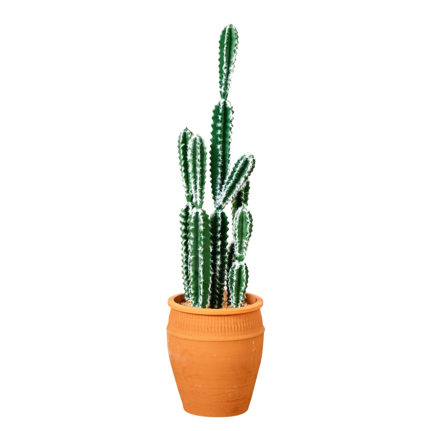 41” Artificial Cactus in Terracotta Planter