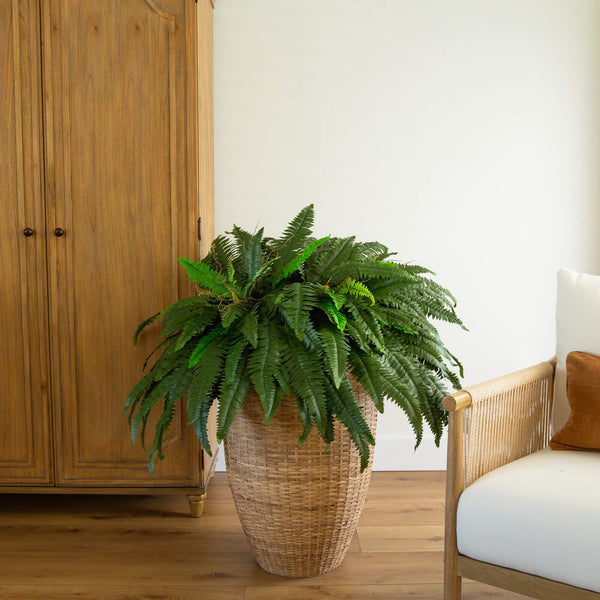 48” Boston Fern (Set of 2)