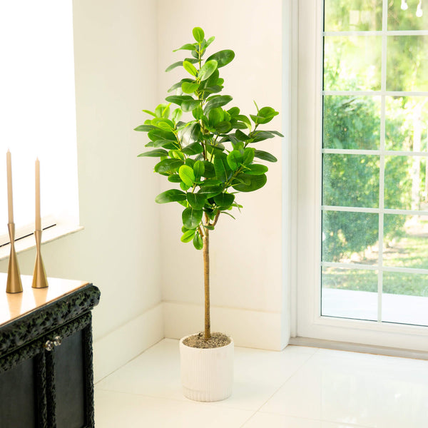 5’ Artificial Audrey Ficus Tree