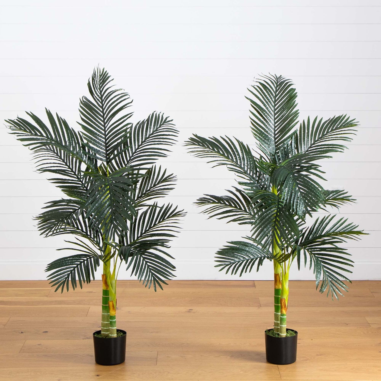 5’ Artificial Double Stalk Golden Cane Palm Tree- Set of 2