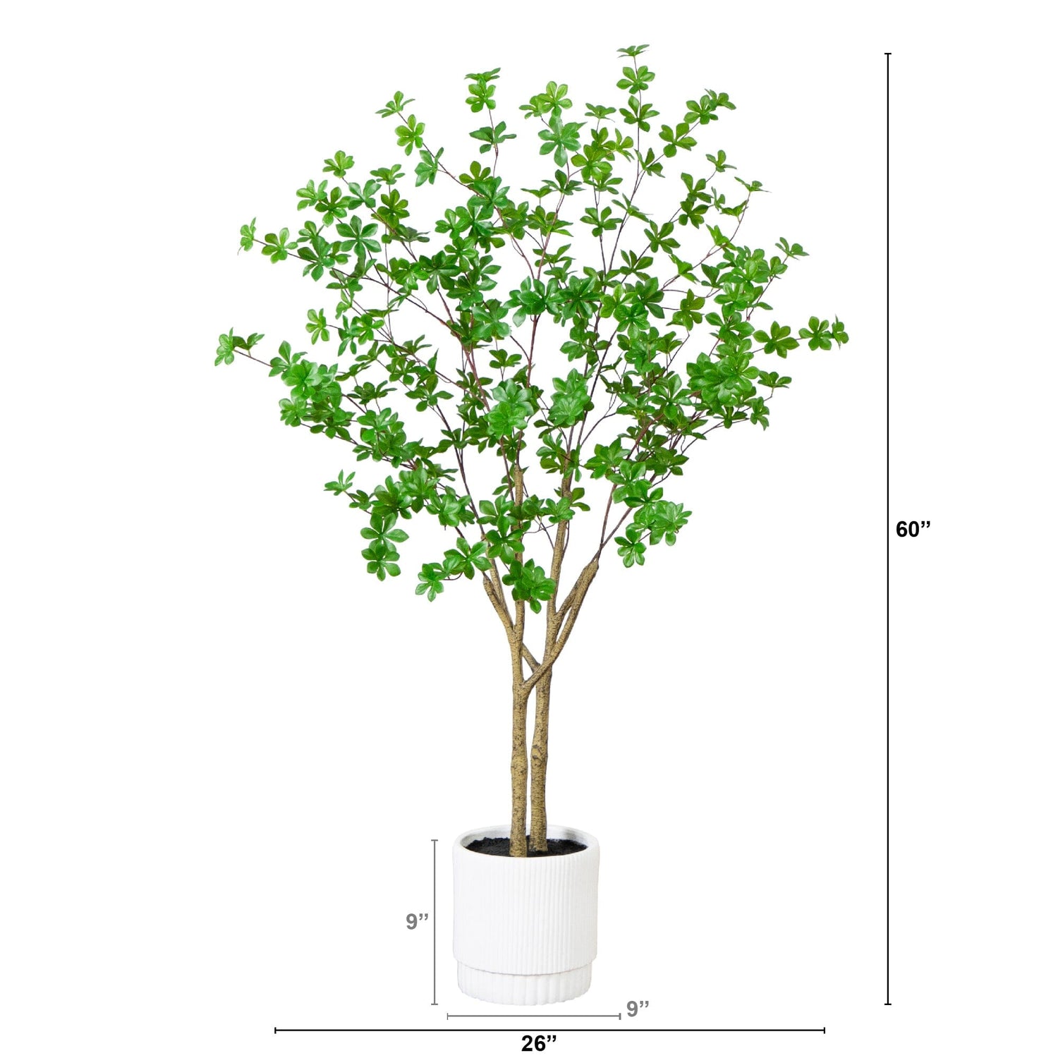 5’ Artificial Enkianthus Tree in White Decorative Planter