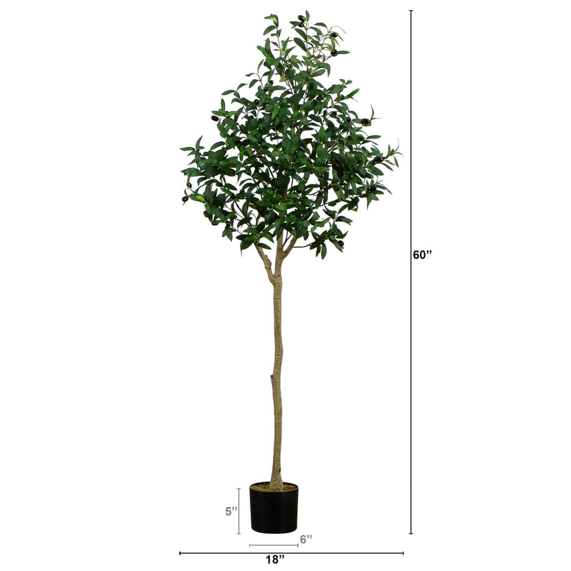 Faux Olive Tree Family | Fake Olive Tree Collection | Nearly Natural