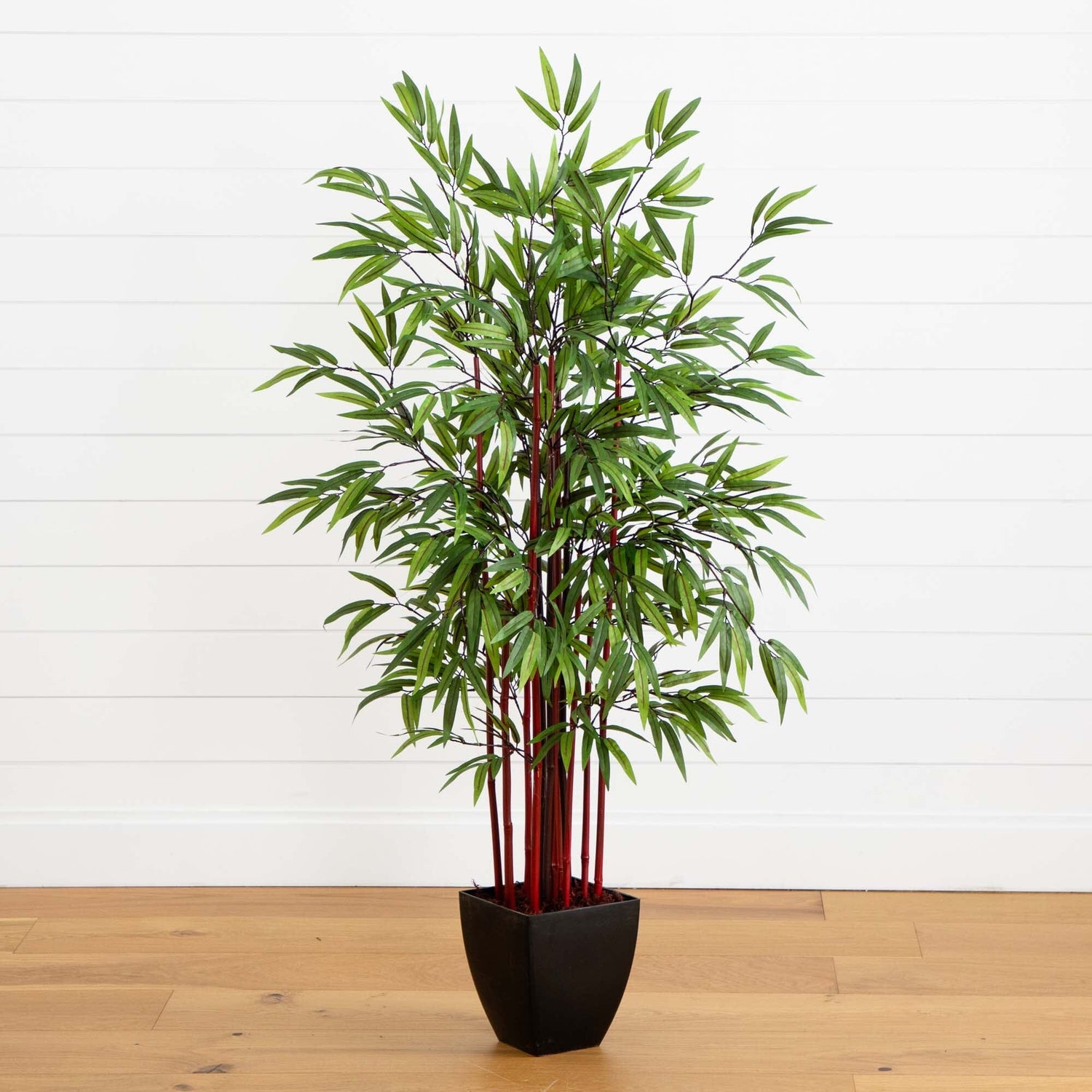 5’ Bamboo Silk Tree w/Planter