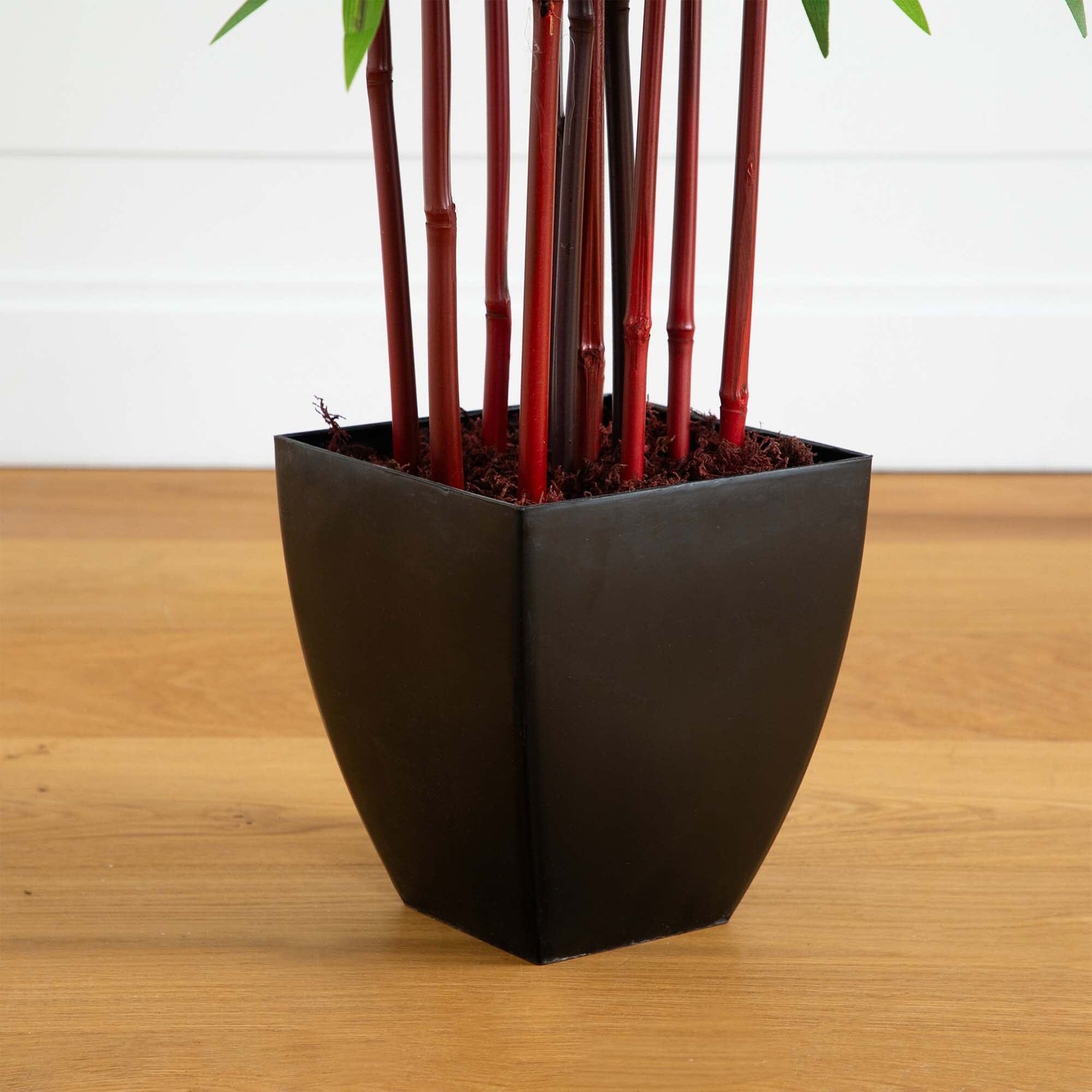 5’ Bamboo Silk Tree w/Planter