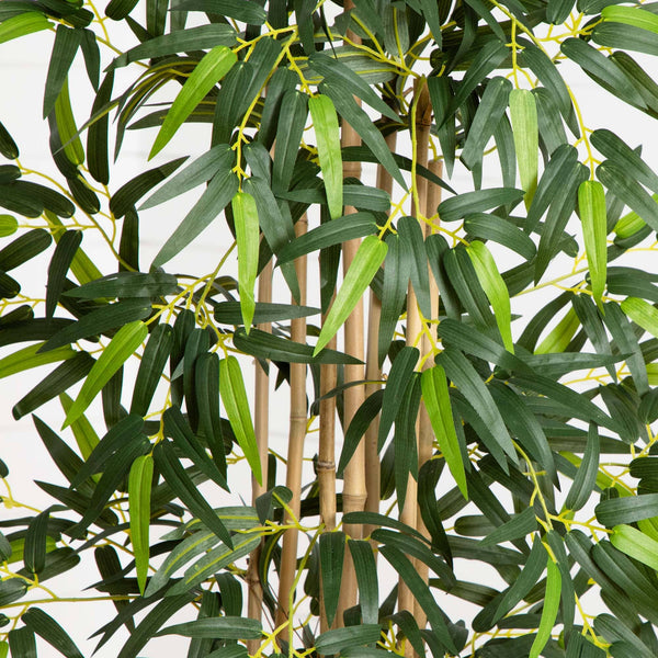 5’ Bamboo Tree in Gray Cylinder Planter