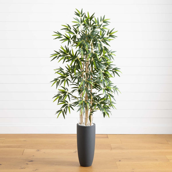 5’ Bamboo Tree in Gray Cylinder Planter