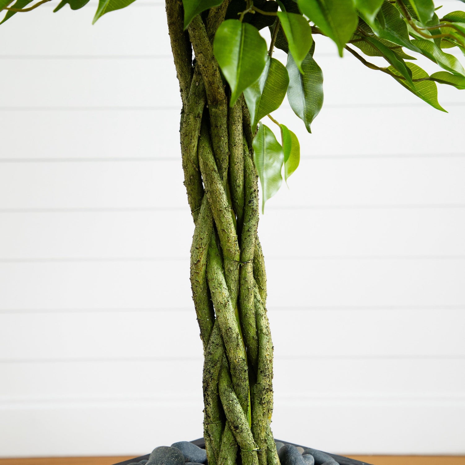 5’ Braided Ficus Artificial Tree in Slate Planter(Indoor/Outdoor)