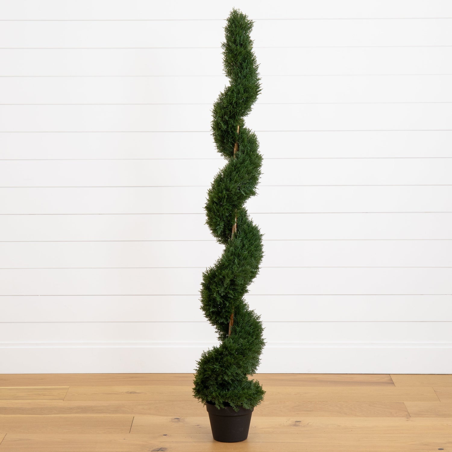 5' Cedar Spiral Silk Tree (In-door/Out-door)