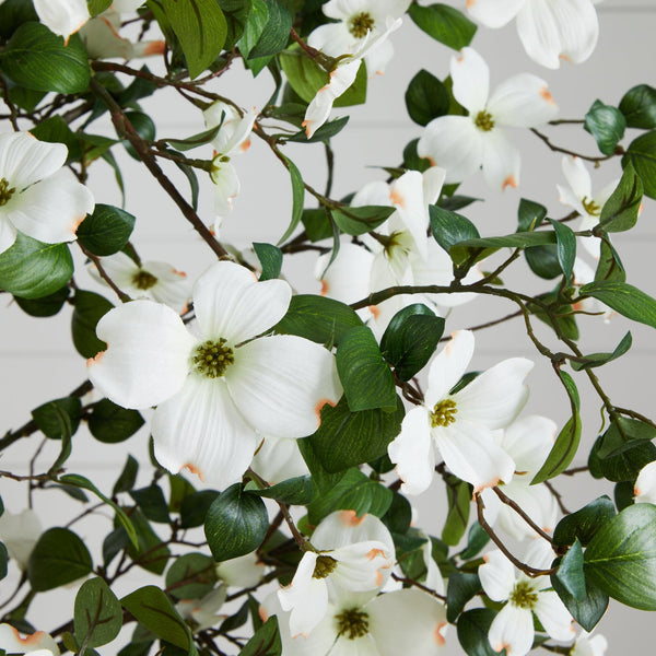 5' Dogwood Silk Tree