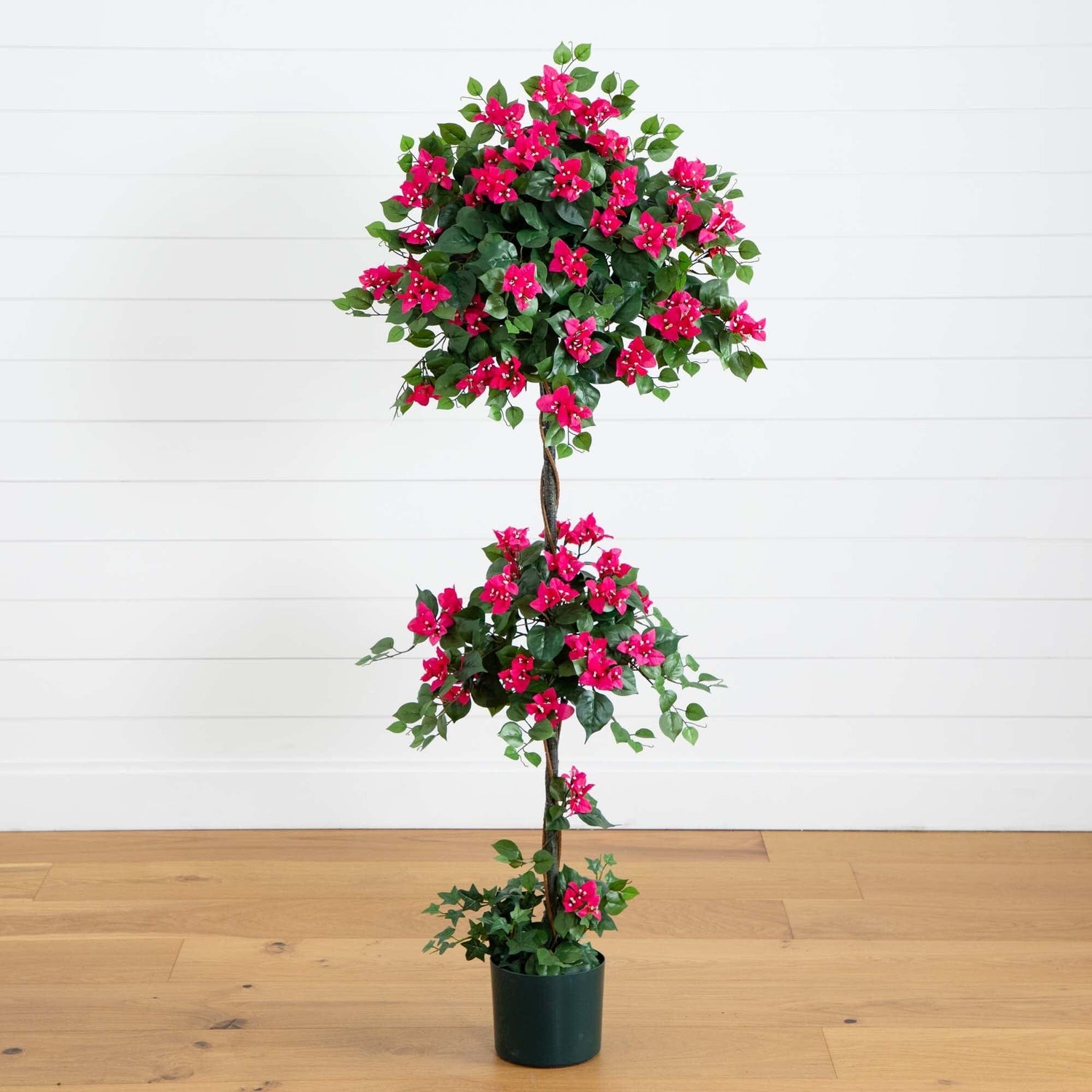 5' Mini Bougainvillea Topiary