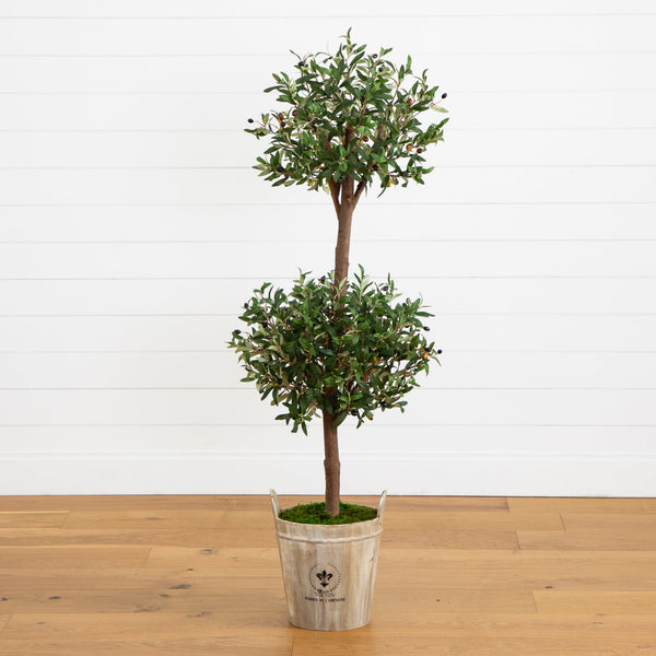 5’ Olive Tree in Farmhouse Planter