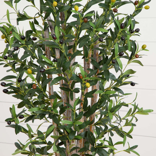 5’ Olive Tree in White Oval Planter