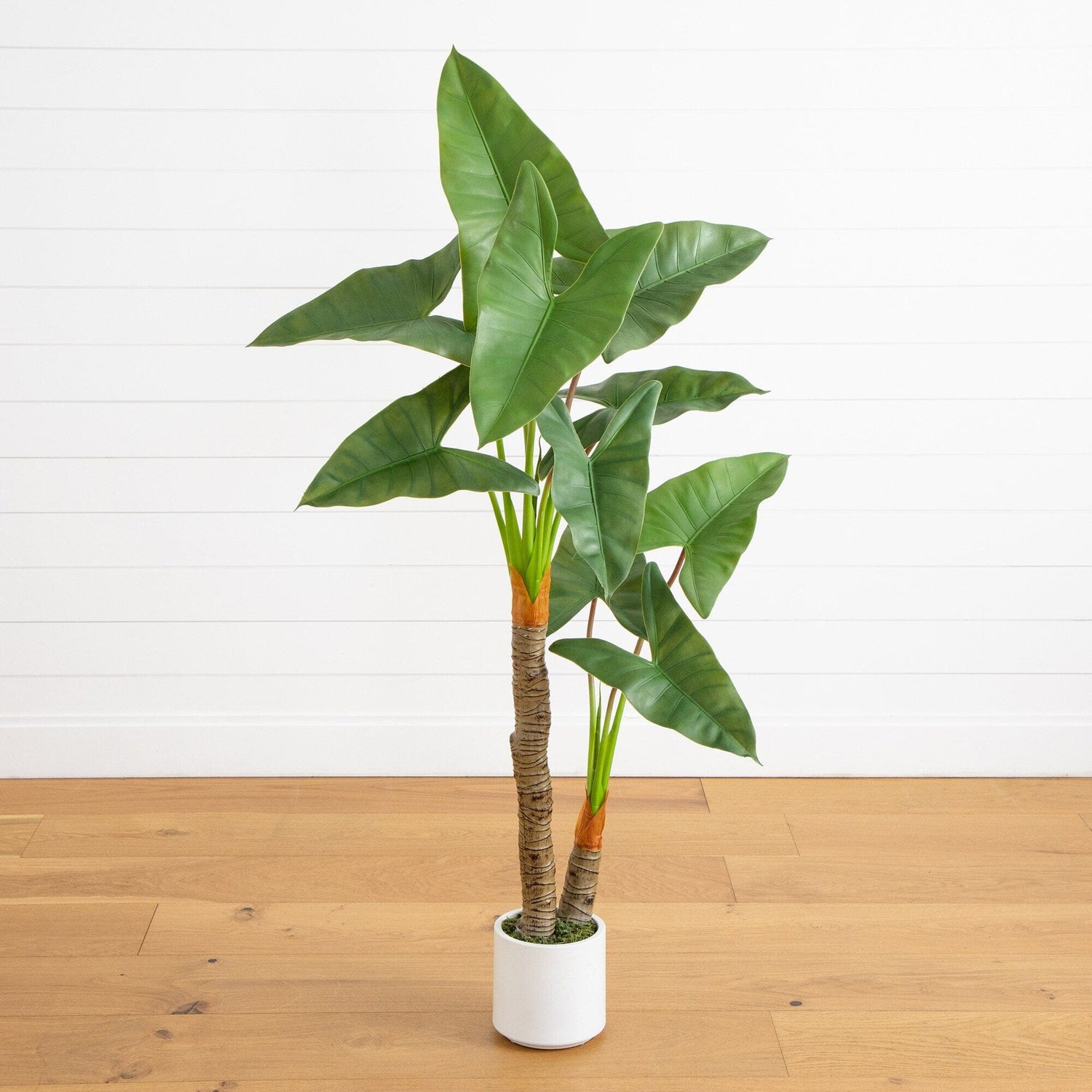 5.5’ Artificial Arrowhead Philodendron in White Decorative Planter