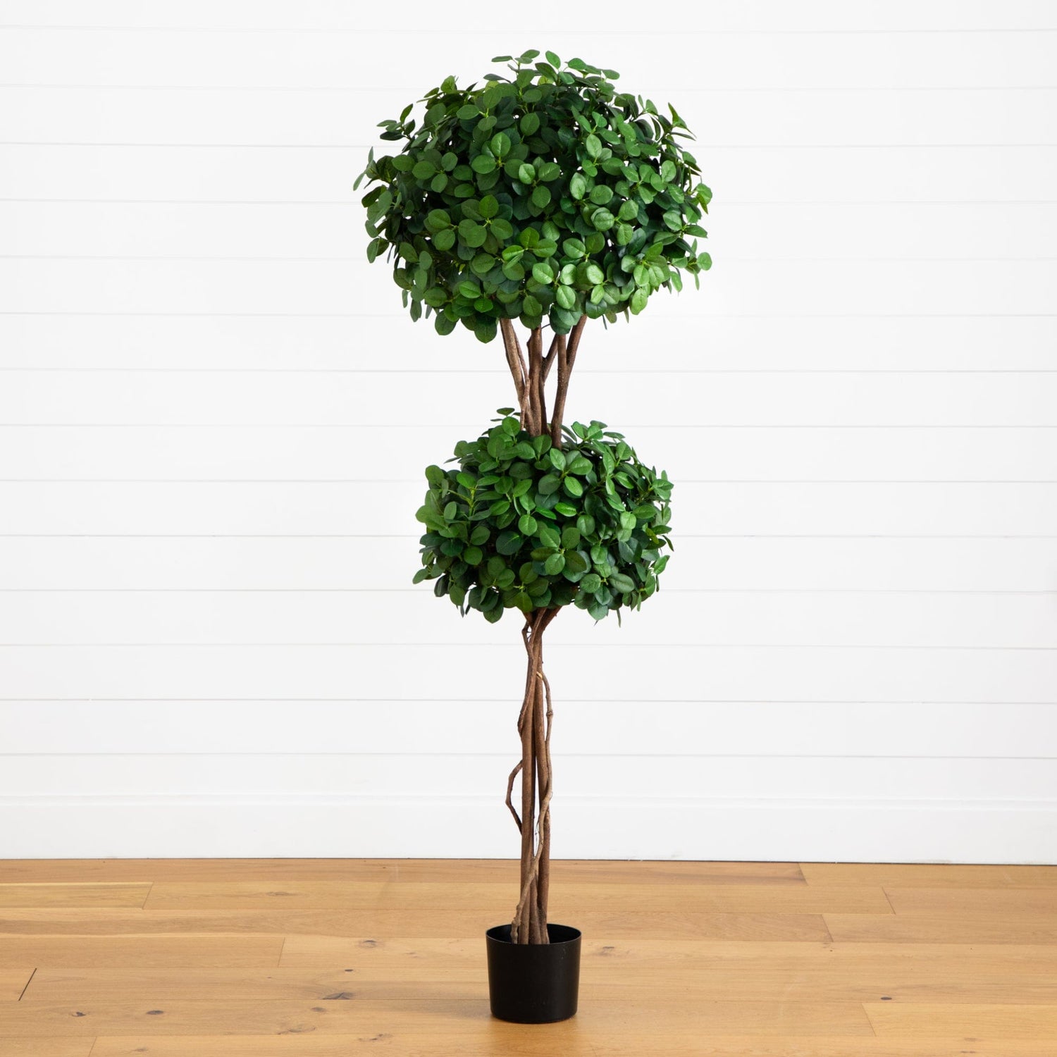 5.5' Eucalyptus Double Ball Topiary Silk Tree