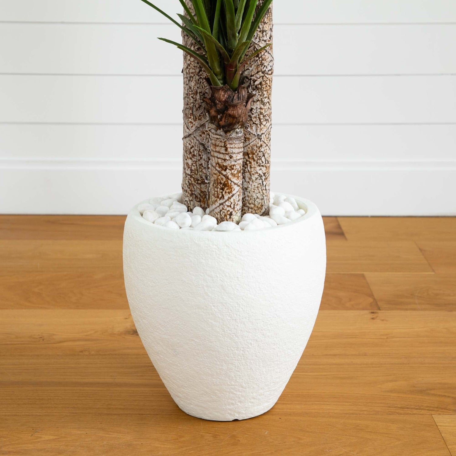 5.5’ Yucca Artificial Tree in White Planter