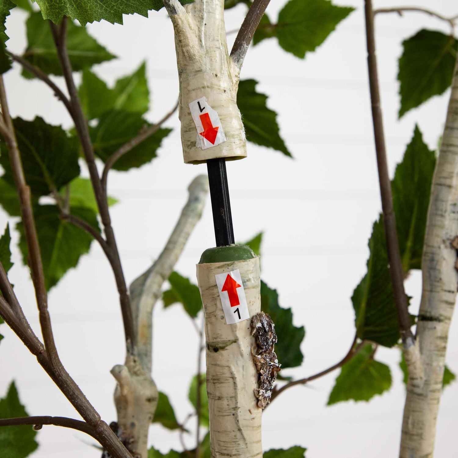 6’ Artificial Birch Tree with Real Touch Leaves