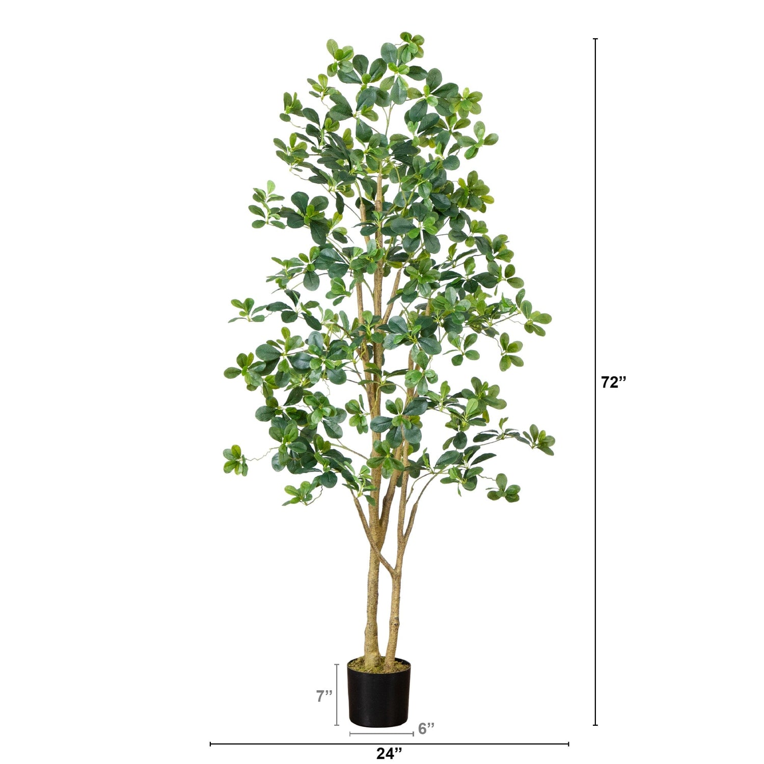 6’ Artificial Black Olive Tree