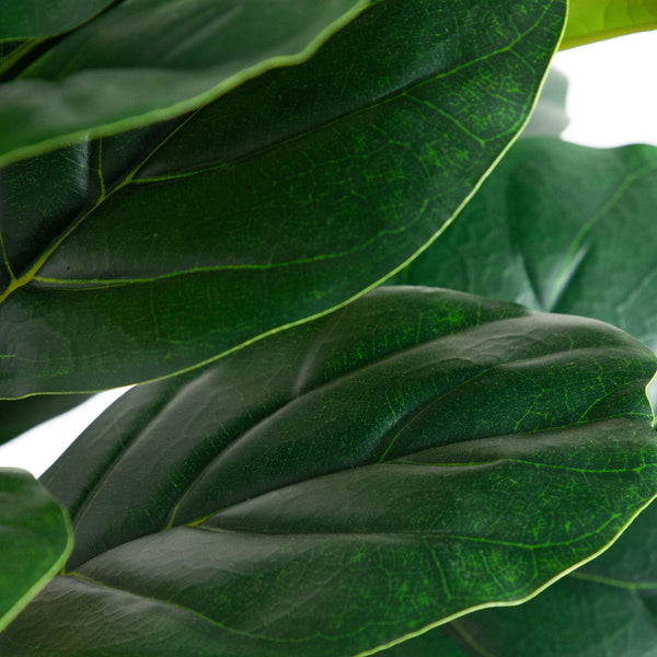 6’ Artificial Fiddle Leaf Tree in Decorative White Planter